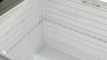 Ice, Ice, Granny? Woman Freezes, Stores Dead Grandma In Basement For Years