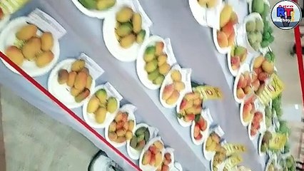 Mango varieties|| Different Different Varieties of Mango || varieties of mango || आम की किस्में
