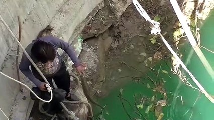 Video: Man Risks His Life To Rescue snake