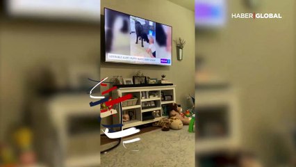 Televizyonda kendisini gören köpeğin tepkisi güldürdü