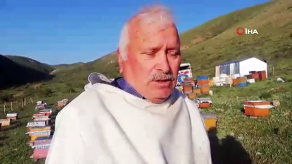 Karadenizli gezgin arıcılar kaliteli bal için Doğu Anadolu bölgesini tercih ediyor