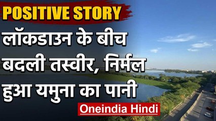 POSITIVE STORY: Lockdown के बीच  बदली तस्वीर, निर्मल हुआ यमुना का पानी | वनइंडिया हिंदी