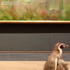 When the penguins visit an art museum
