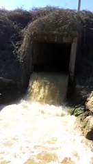 İSKİ Paşaköy Biyolojik Arıtma Tesisi'nde skandal!