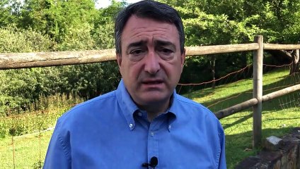 Intervención del diputado del PNV Aitor Esteban