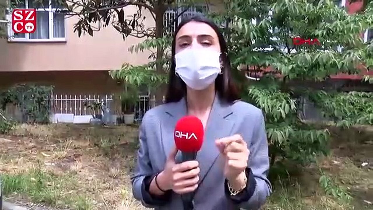 Görme engelli bireylerin can yoldaşı; Rehber Köpekler