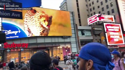 Protesters to NYPD: Hands up, don't shoot