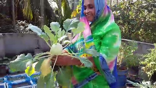 Sadequel's Rooftop Garden 20161202-110340