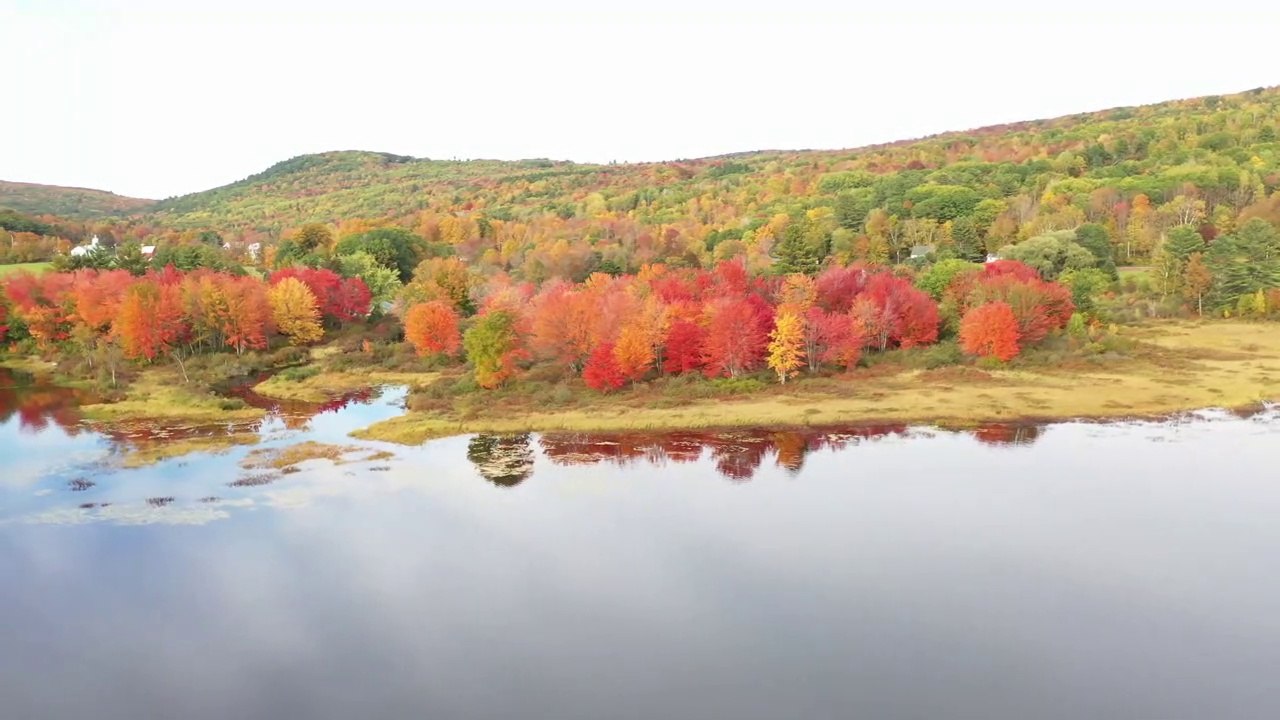 Beautiful Colorful Forest | HD Drone View | Beauty of Nature With Relaxing Music.