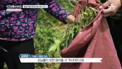 할머니 혼자서 가꾸는 넓은 텃밭... 도움의 손길이 절실한대!