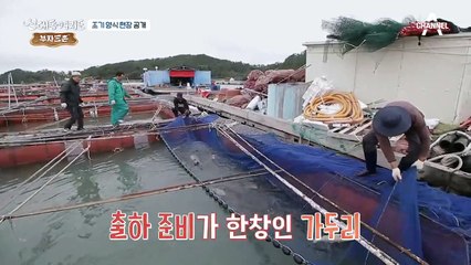 조기, 농어 양식으로 연 매출 8억 원! 칠전팔기 오뚝이 어부