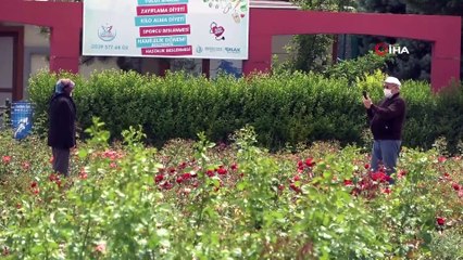 Yaşlılar rengarenk çiçeklere bürünen parklarda gezdi