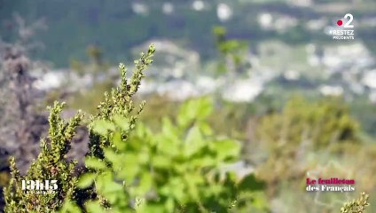 Coronavirus : le plus ancien fabriquant de jeans français a réussi à produire très vite 85 000 masques grâce à ses fournisseurs présents dans l'Hexagone