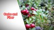 NUTRITION FACTS AND HEALTH BENEFITS / CRANBERRIES