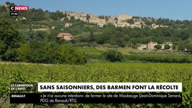 En manque de saisonniers, des barmans font la récolte