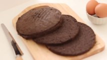 共立て＊ココアスポンジの作り方 Cocoa sponge cake：Chocolate genoise｜HidaMari Cooking