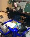 Cette fillette donne des cours de dessin à ses chats