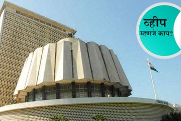 What is a political party's whip?