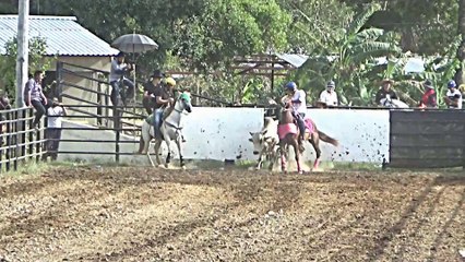 TARDE DE COLEO Y FOLCLOR