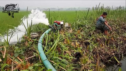 Amazing Village Fishing | Process in Village Area