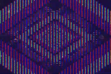 MVGEN: Raimee  :  Chasing Shadows