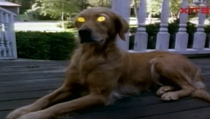 Goosebumps Season 2 Episode 16 More Monster Blood SDTV