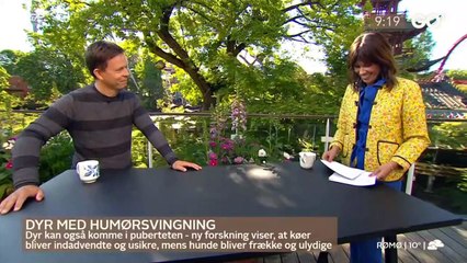 COVID-19; Ulf Pilgaard ~ Et udskudt farvel & Cirkusrevyen er aflyst i 2020 | Go morgen Danmark | TV2 Danmark