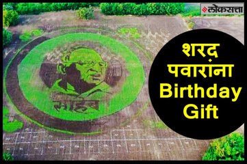 Sharad Pawar Birthday Gift