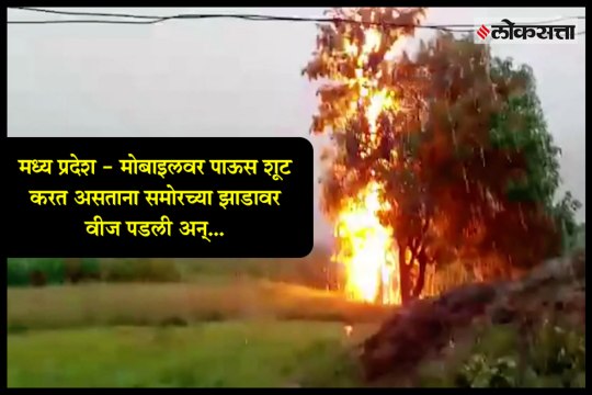 Dramatic moment lightning strikes tree