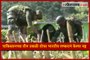 Indian Army destroyed 3 mortar shells of Pakistan Army