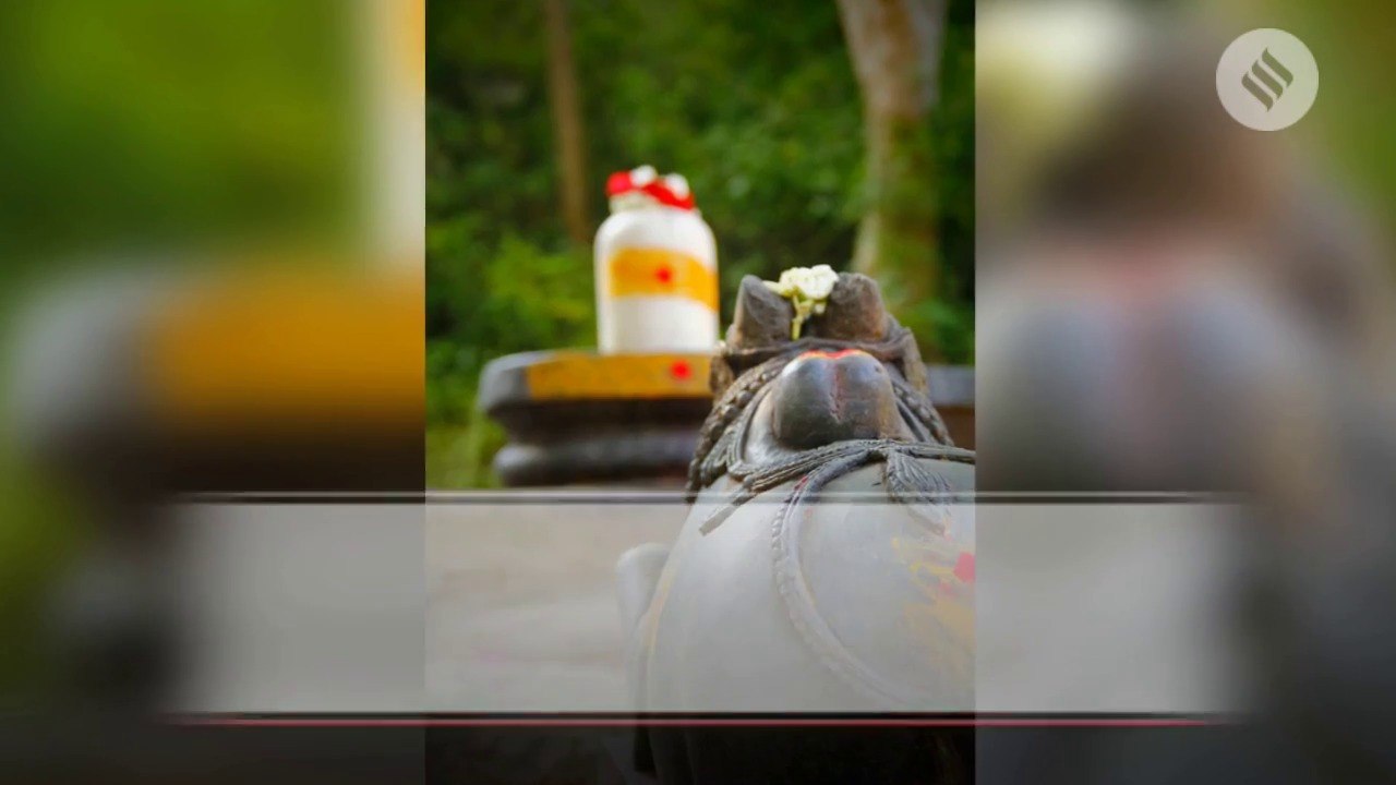 क्या आपने कभी सोचा कि नंदी के कान में क्यों कही जाती है मनोकामना