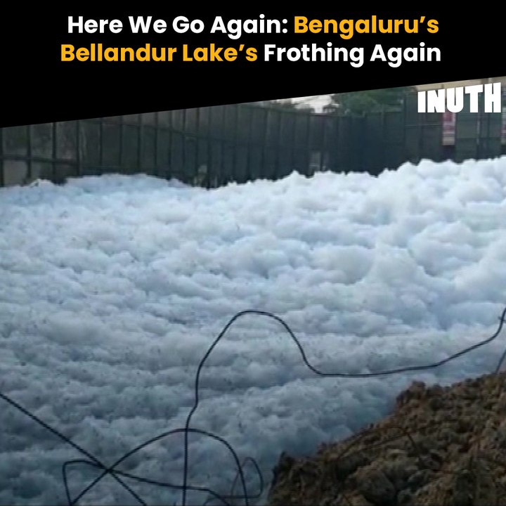 Here We Go Again: Bengaluru’s Bellandur Lake’s Frothing Again