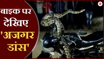 बाइक पर अजगर ने किया डांस, देखते रह गए लोग