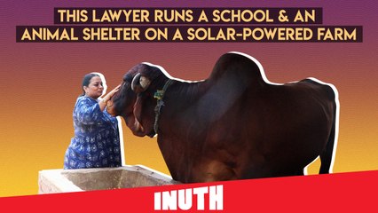 This Lawyer Runs A School & An Animal Shelter On A Solar-Powered Farm