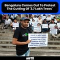 Bengaluru Comes Out To Protest The Cutting Of '3.7 Lakh Trees'