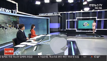 [날씨트리] 6월 첫 출근길, 흐리고 안개…오후부터 맑음