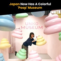 Japan Now Has A Colorful 'Poop' Museum