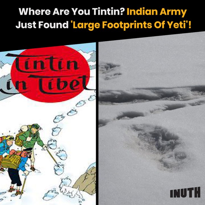 Where Are You Tintin? Indian Army Just Found 'Large Footprints of Yeti'