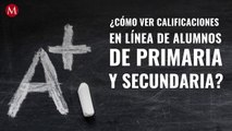 ¿Cómo ver calificaciones en línea de alumnos de primaria y secundaria ante covid-19?