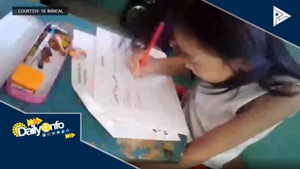 Activity books at online website modules, ipinamahagi ng SK Bancal sa mga kabataan