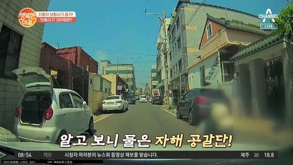 차 옆을 지나던 행인, 갑자기 쓰러진다?! (ft. 어이가 없네)