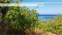 A VENDRE TERRAIN DE 5000M2 A VAIANAE-MOOREA (LOT1)