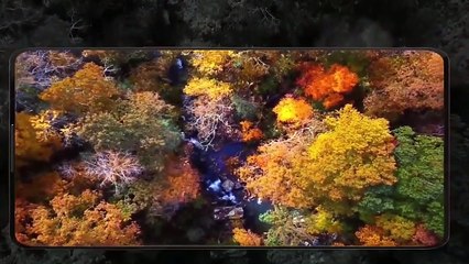 Samsung galaxy note 20 review in Hindi, Smaung galaxy note 20 2020