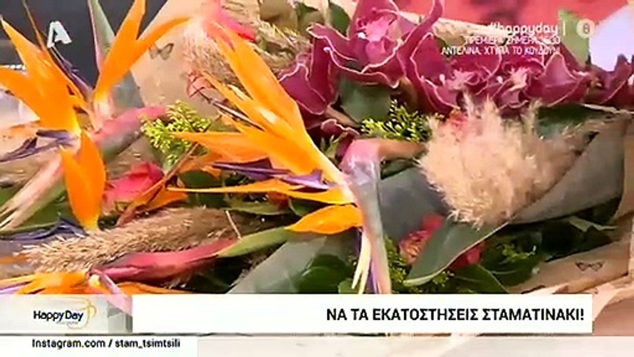 Σταματίνα Τσιμτσιλή: Η έκπληξη του Θέμη Σοφού ανήμερα των γενεθλίων της - Πόσο χρονών έγινε;