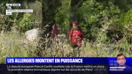 Attention aux allergies, presque toute l'Hexagone est concernée par une vigilance rouge aux pollens