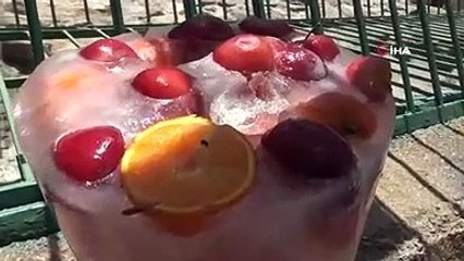 Hayvanat bahçesinde ''çöl sıcakları'' tedbirleri