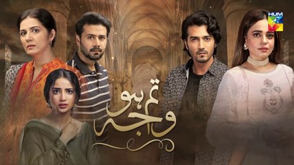 Tum Ho Wajah Episode 6 HUM TV Drama 1 June 2020