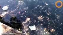 Le déconfinement entraîne le retour des déchets dans les grandes villes françaises