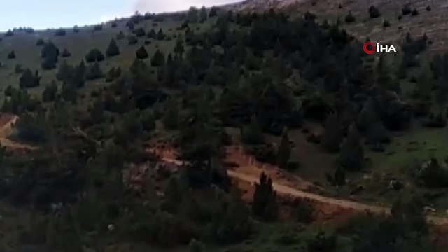 5 yavrusuyla beraber yiyecek arayan anne ayı böyle görüntülendi