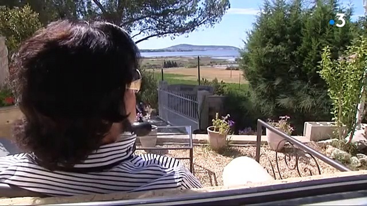 Reportage sur le sosie officiel en France d’Elvis Presley, Freddy Ley